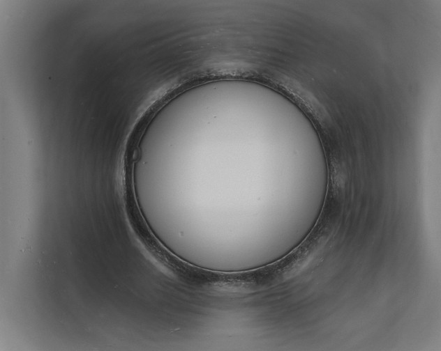 X0000112140630200908211353