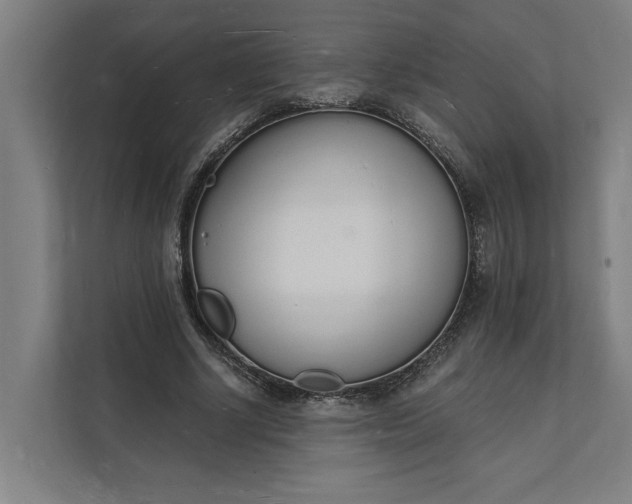 X0000112140634200908211353