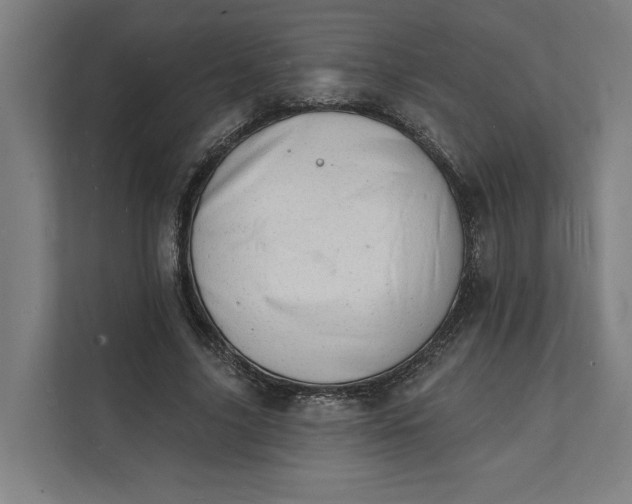 X0000112140635200908211353