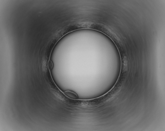 X0000112140641200908211353