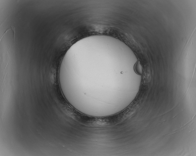 X0000112140656200908211354