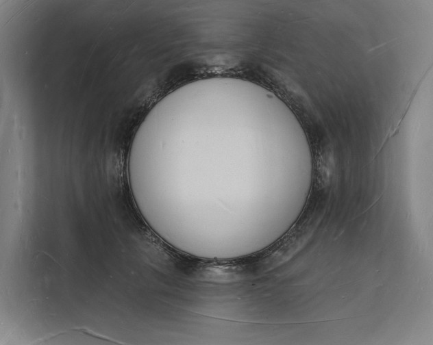 X0000112140657200908211354