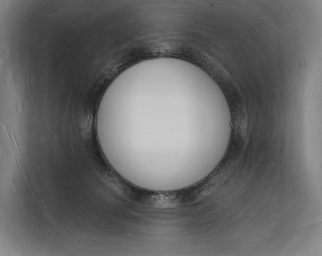 X0000112140660200908211354