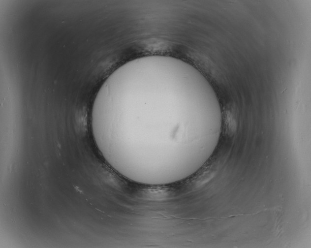 X0000112140668200908211354