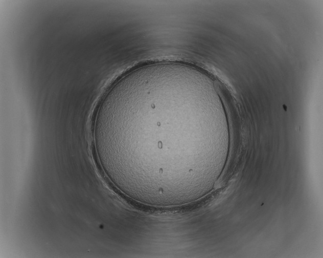 X0000112140673200908211353