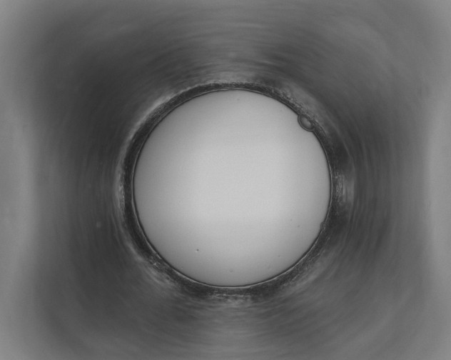 X0000112140676200908211353