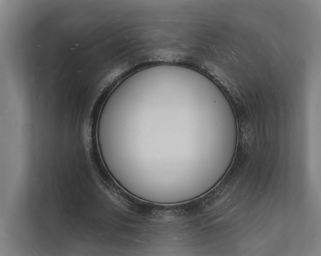 X0000112140679200908211353