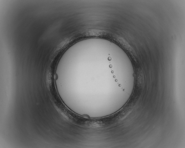 X0000112140683200908211353