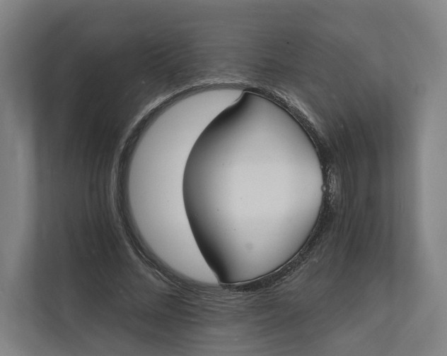 X0000112140684200908211353