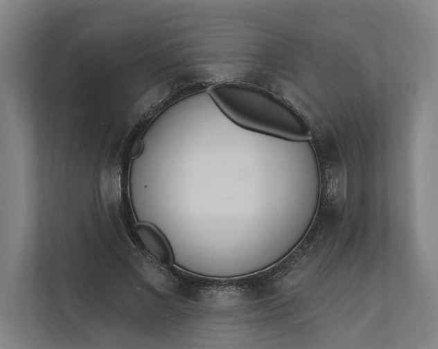 X0000112140685200908211353