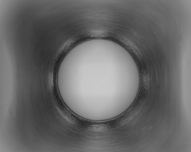 X0000112140686200908211353