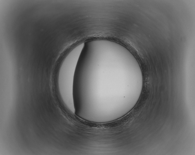 X0000112140688200908211353