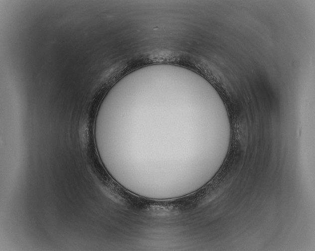 X0000112140690200908211353