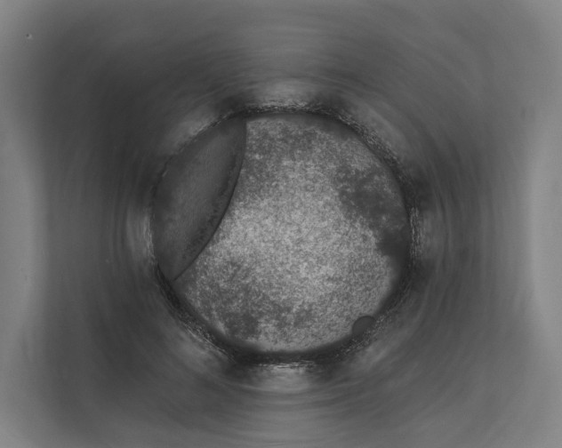 X0000112140692200908211353