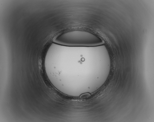 X0000112140693200908211353