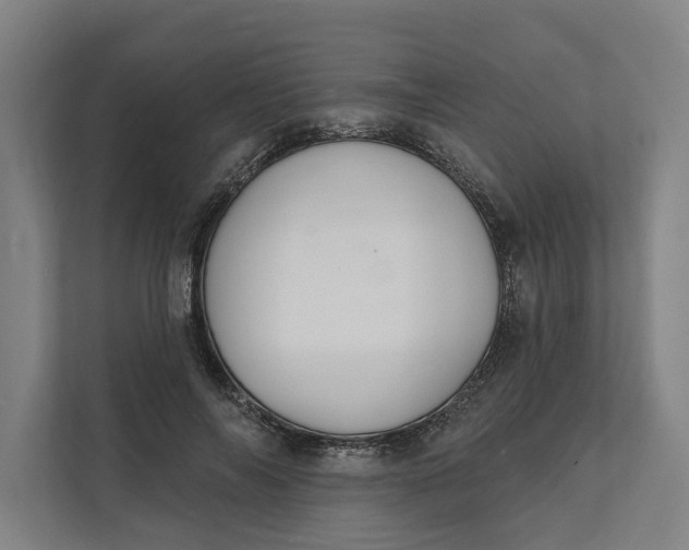 X0000112140694200908211353