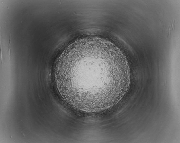 X0000112140696200908211353