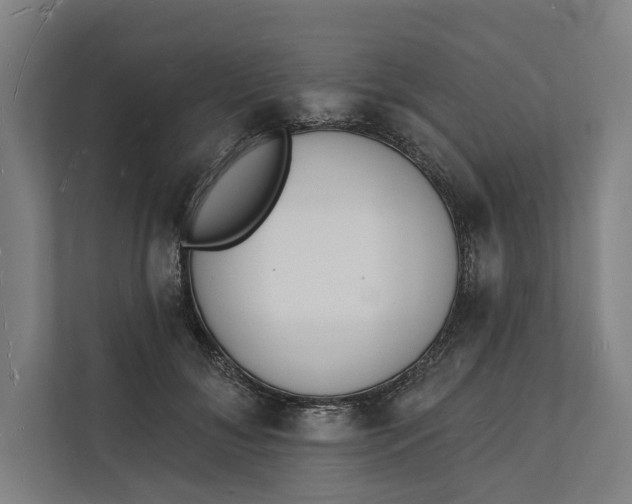 X0000112140700200908211353