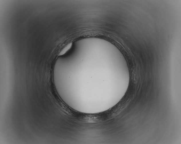 X0000112140701200908211353