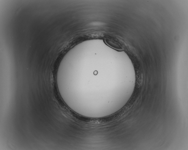 X0000112140704200908211353