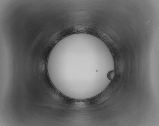 X0000112140706200908211353