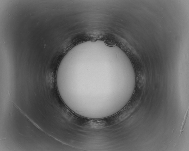 X0000112140707200908211353