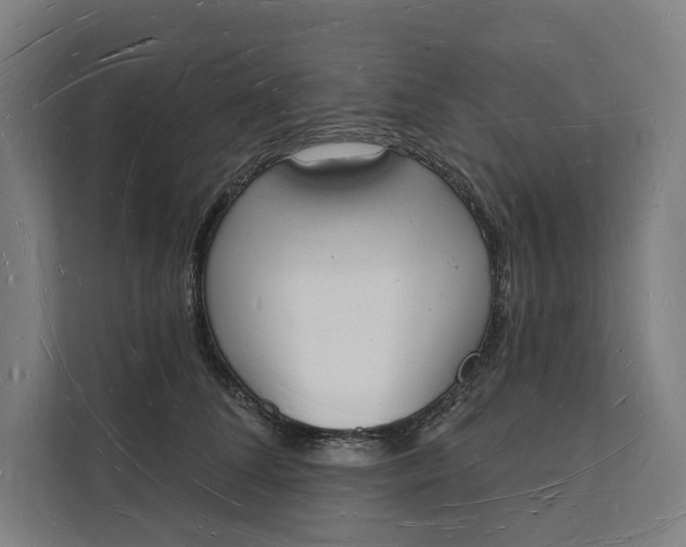 X0000112140708200908211353