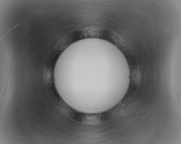 X0000112140709200908211353