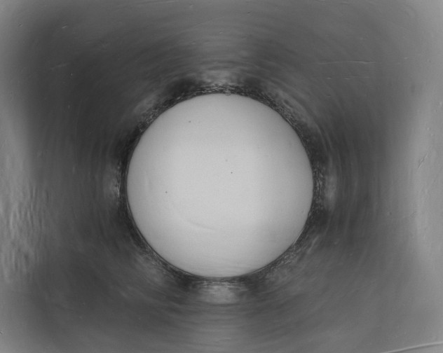 X0000112140710200908211353