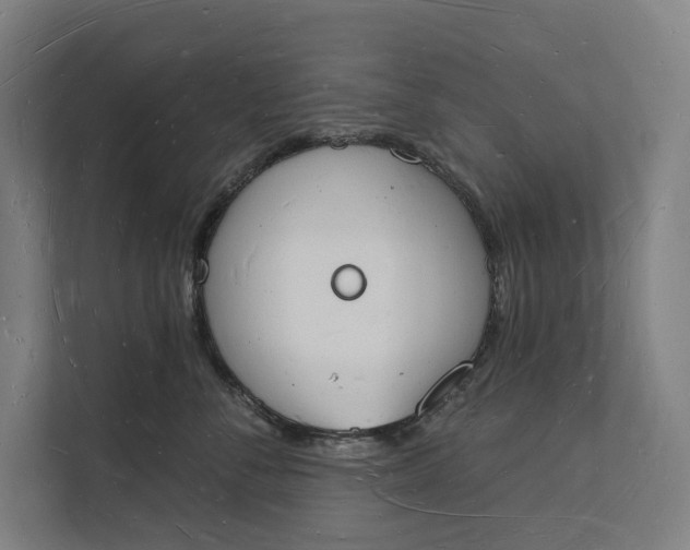 X0000112140716200908211353