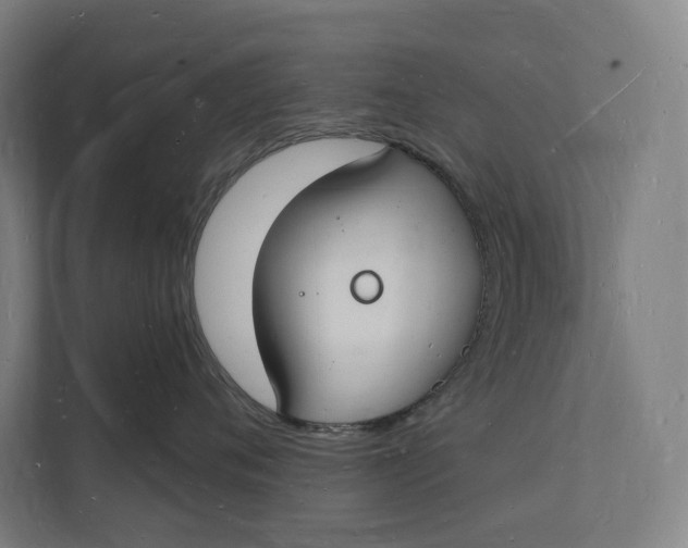 X0000112140720200908211353