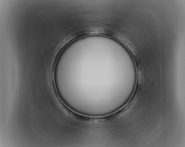 X0000112140721200908211352