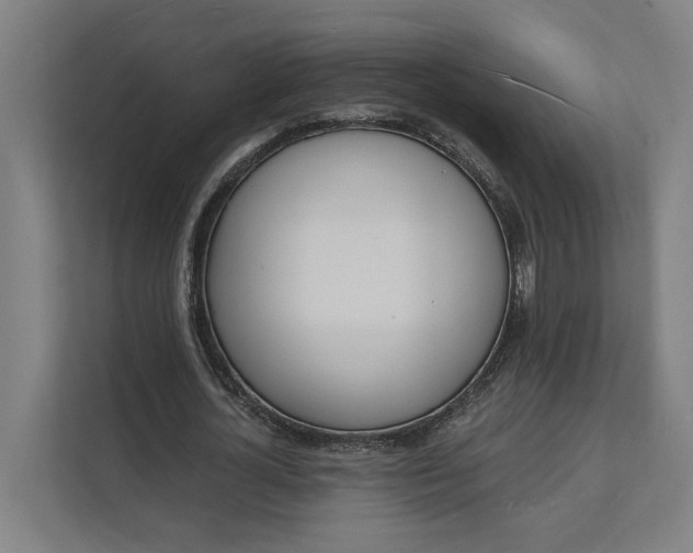 X0000112140724200908211352