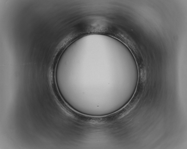 X0000112140725200908211352