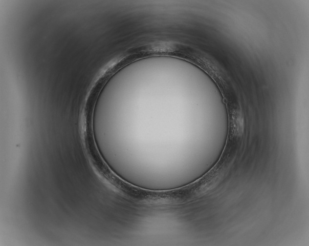 X0000112140726200908211352