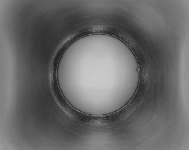 X0000112140728200908211352