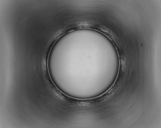 X0000112140729200908211352