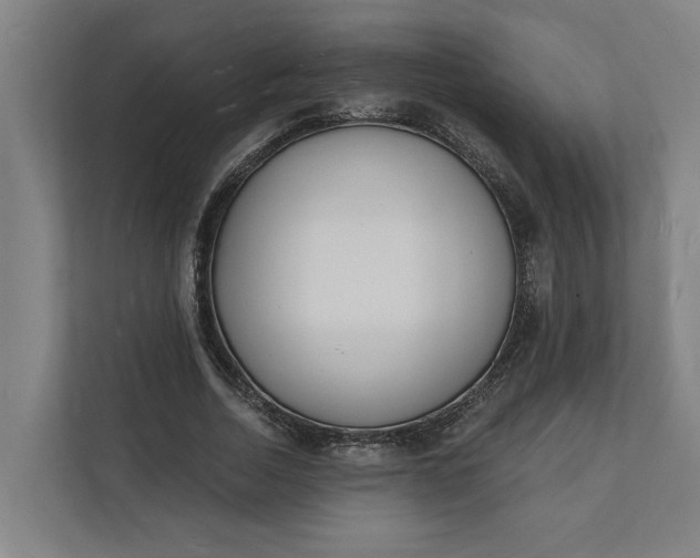 X0000112140730200908211352