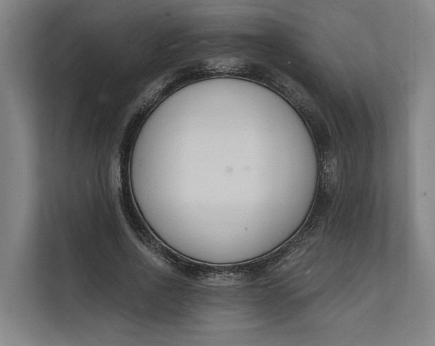 X0000112140734200908211352