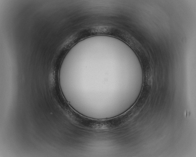 X0000112140735200908211352