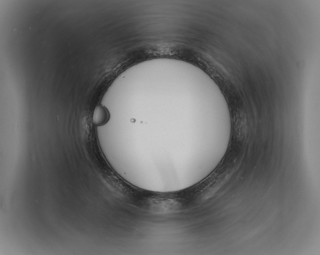 X0000112140747200908211352