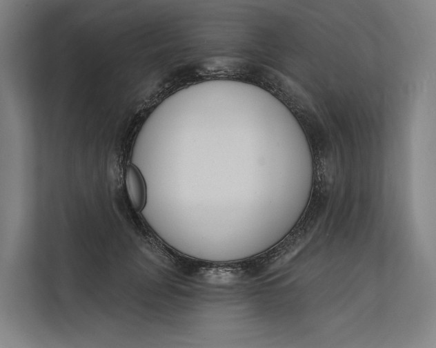 X0000112140751200908211352