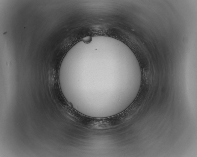 X0000112140752200908211352