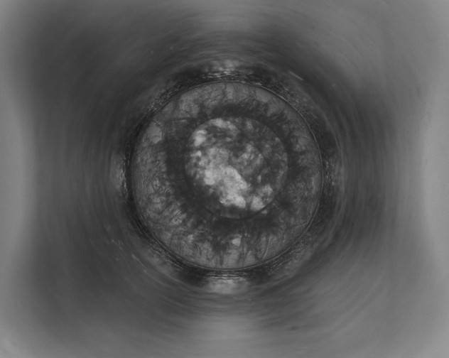 X0000112140754200908211352