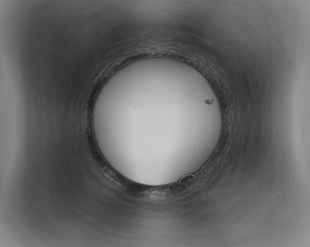 X0000112140756200908211352