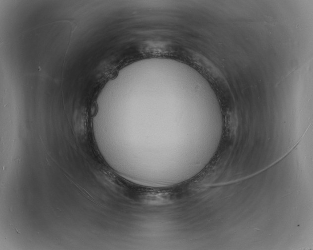 X0000112140760200908211353