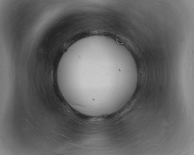 X0000112140762200908211353