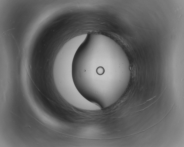 X0000112140764200908211353