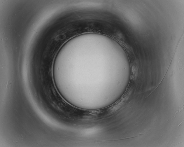 X0000112140765200908211353