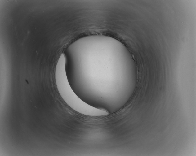 X0000112140768200908211353